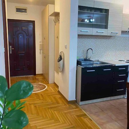 D Apartment Free Private Parking Fast Wi-Fi Nowy Sad Zewnętrze zdjęcie
